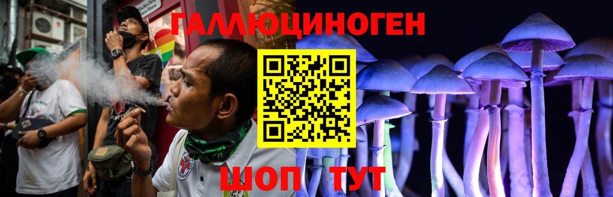Галлюциногенные грибы Psilocybe  Вход с VPN  Клин  Галлюциногенные грибы GOLDEN TEACHER 